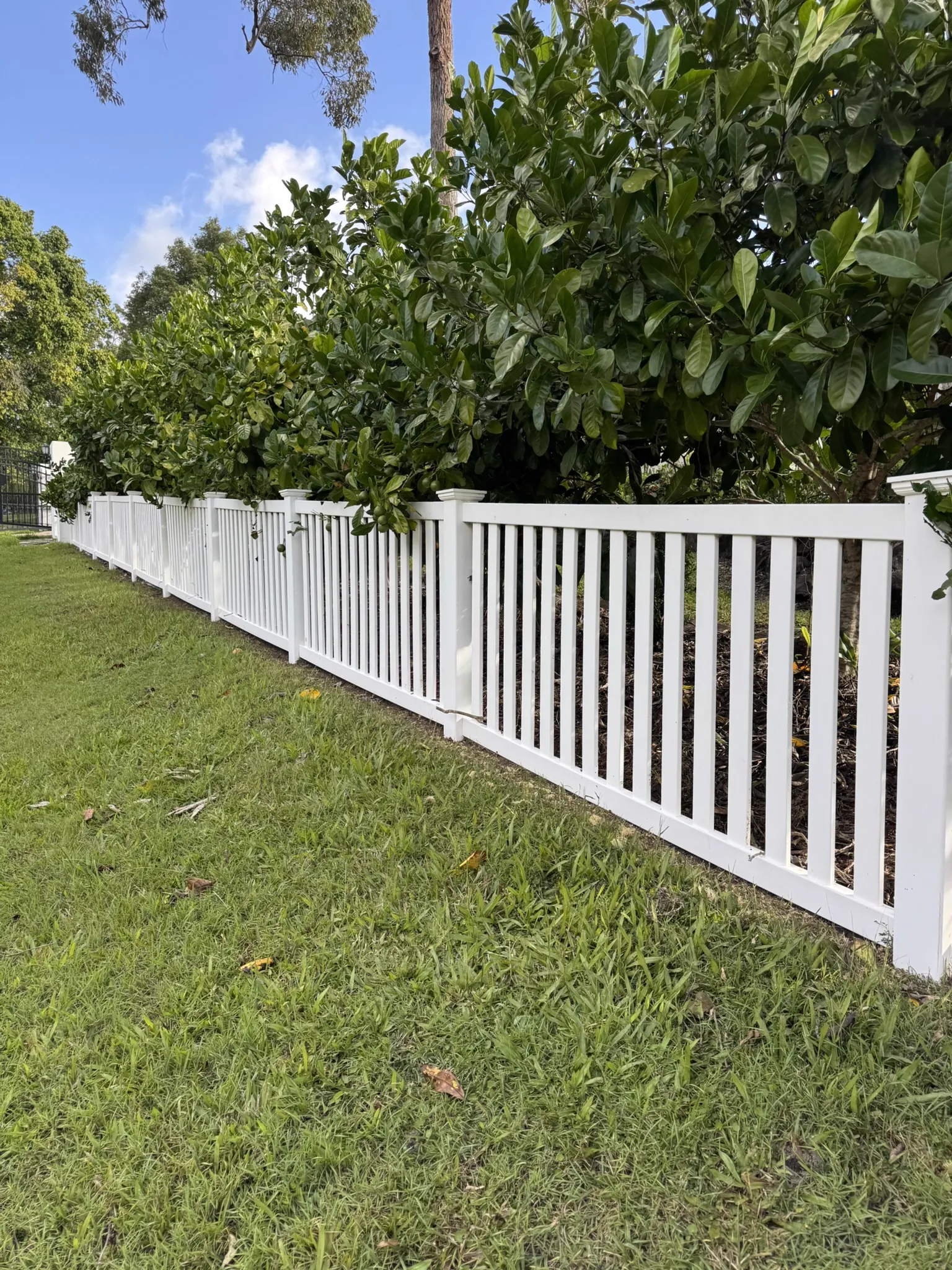 White picket fence completely clean and bright — after