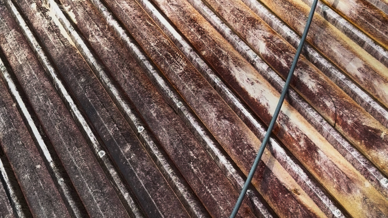 Dirty roof before soft wash roof cleaning Queensland — mould, lichen and moss